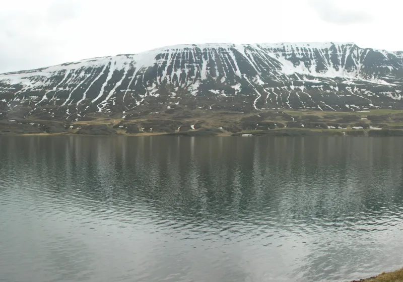 Þingeyjarsveit